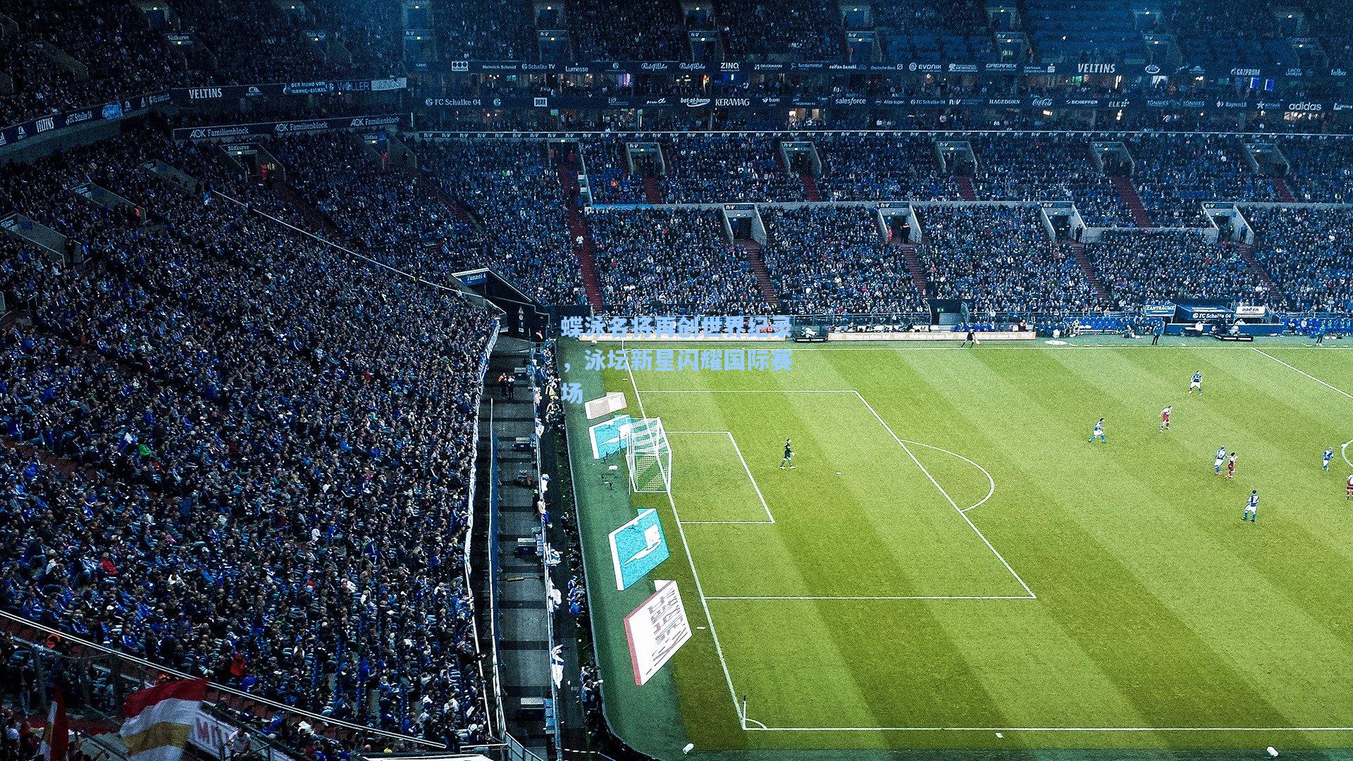 蝶泳名将再创世界纪录，泳坛新星闪耀国际赛场