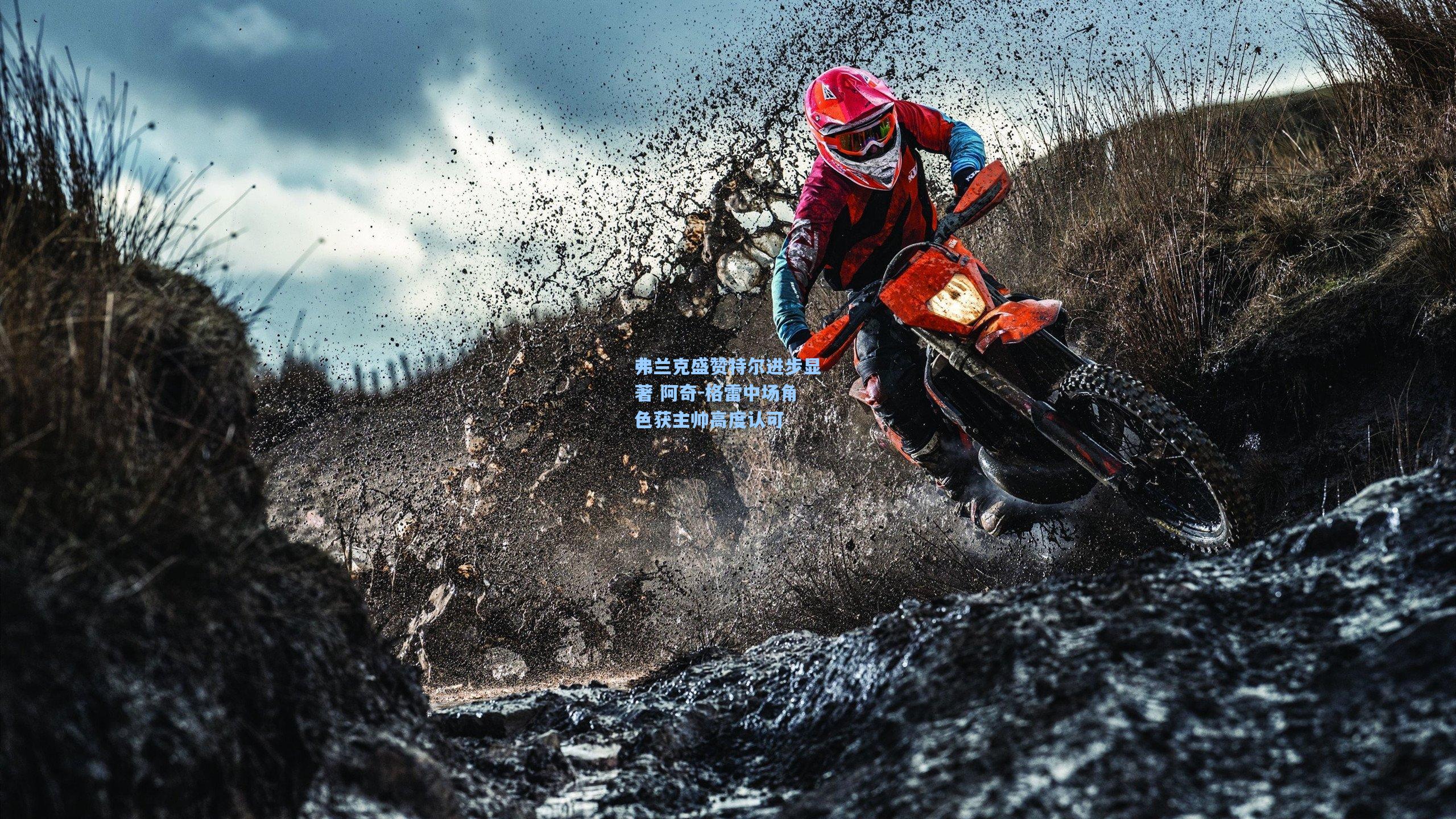 弗兰克盛赞特尔进步显著 阿奇-格雷中场角色获主帅高度认可